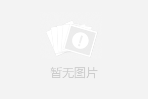 油汀電暖器什么品牌好